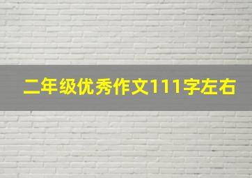 二年级优秀作文111字左右