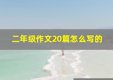 二年级作文20篇怎么写的