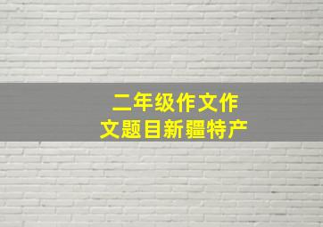 二年级作文作文题目新疆特产