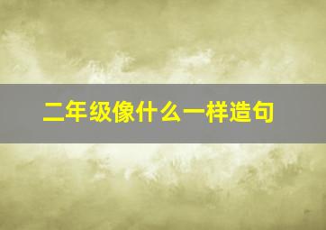 二年级像什么一样造句