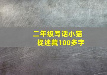 二年级写话小猫捉迷藏100多字