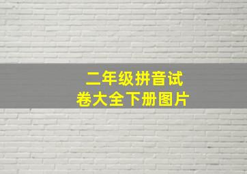 二年级拼音试卷大全下册图片