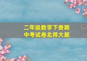 二年级数学下册期中考试卷北师大版