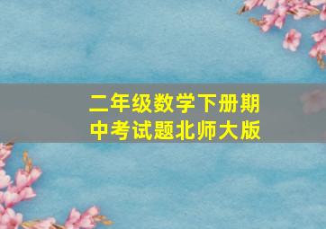 二年级数学下册期中考试题北师大版