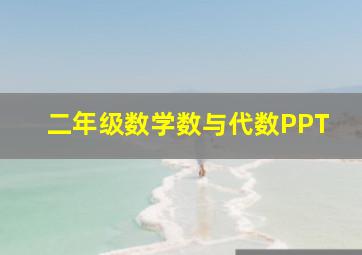 二年级数学数与代数PPT