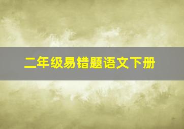 二年级易错题语文下册