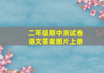 二年级期中测试卷语文答案图片上册