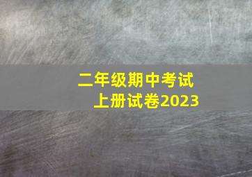 二年级期中考试上册试卷2023