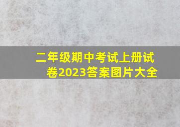 二年级期中考试上册试卷2023答案图片大全