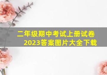 二年级期中考试上册试卷2023答案图片大全下载