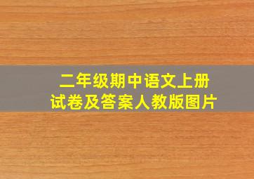 二年级期中语文上册试卷及答案人教版图片