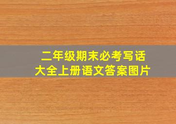 二年级期末必考写话大全上册语文答案图片