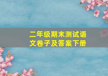 二年级期末测试语文卷子及答案下册