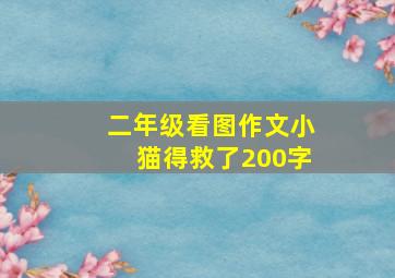 二年级看图作文小猫得救了200字