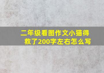 二年级看图作文小猫得救了200字左右怎么写