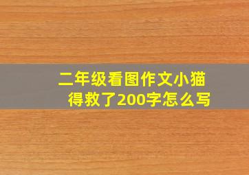 二年级看图作文小猫得救了200字怎么写