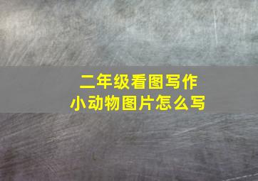 二年级看图写作小动物图片怎么写