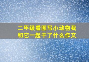 二年级看图写小动物我和它一起干了什么作文