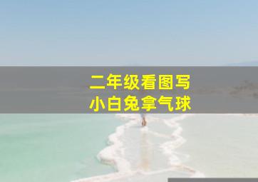 二年级看图写小白兔拿气球