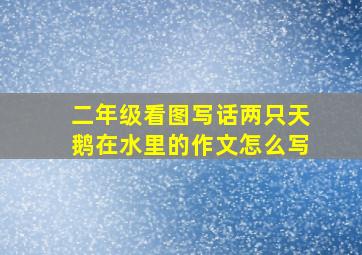 二年级看图写话两只天鹅在水里的作文怎么写