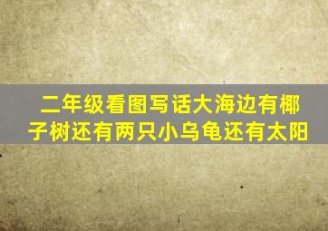 二年级看图写话大海边有椰子树还有两只小乌龟还有太阳