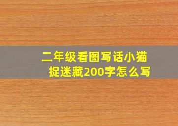 二年级看图写话小猫捉迷藏200字怎么写