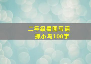 二年级看图写话抓小鸟100字