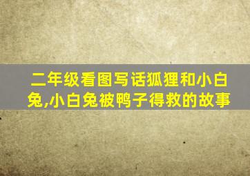 二年级看图写话狐狸和小白兔,小白兔被鸭子得救的故事