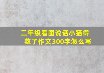 二年级看图说话小猫得救了作文300字怎么写