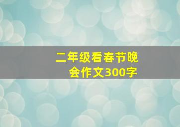 二年级看春节晚会作文300字