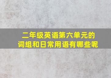 二年级英语第六单元的词组和日常用语有哪些呢