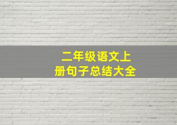 二年级语文上册句子总结大全