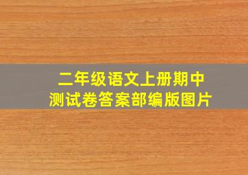 二年级语文上册期中测试卷答案部编版图片