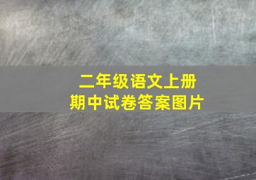 二年级语文上册期中试卷答案图片