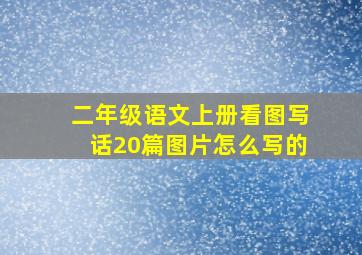 二年级语文上册看图写话20篇图片怎么写的