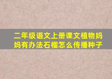 二年级语文上册课文植物妈妈有办法石榴怎么传播种子