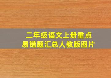 二年级语文上册重点易错题汇总人教版图片