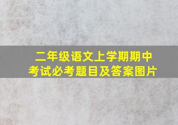 二年级语文上学期期中考试必考题目及答案图片