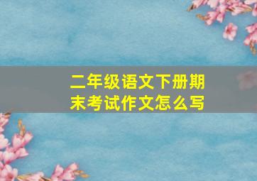 二年级语文下册期末考试作文怎么写