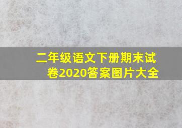 二年级语文下册期末试卷2020答案图片大全