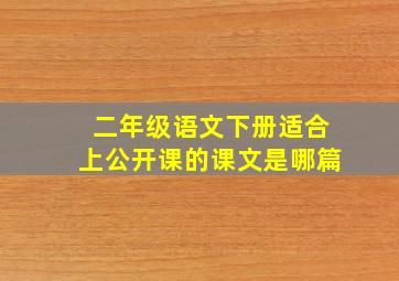 二年级语文下册适合上公开课的课文是哪篇