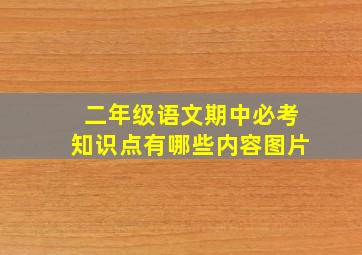 二年级语文期中必考知识点有哪些内容图片