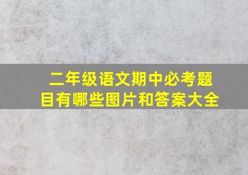 二年级语文期中必考题目有哪些图片和答案大全