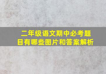 二年级语文期中必考题目有哪些图片和答案解析