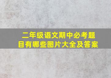 二年级语文期中必考题目有哪些图片大全及答案