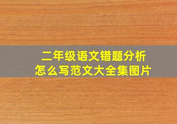 二年级语文错题分析怎么写范文大全集图片