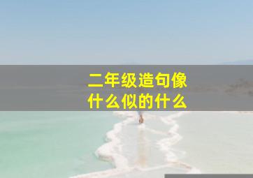 二年级造句像什么似的什么