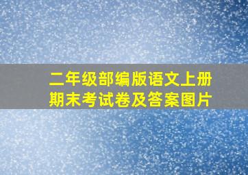 二年级部编版语文上册期末考试卷及答案图片