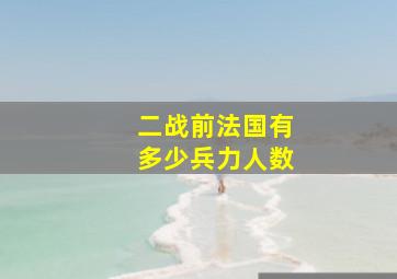 二战前法国有多少兵力人数