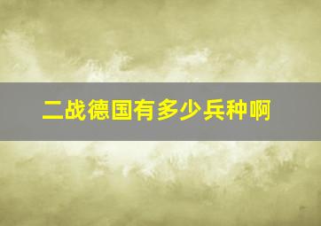 二战德国有多少兵种啊